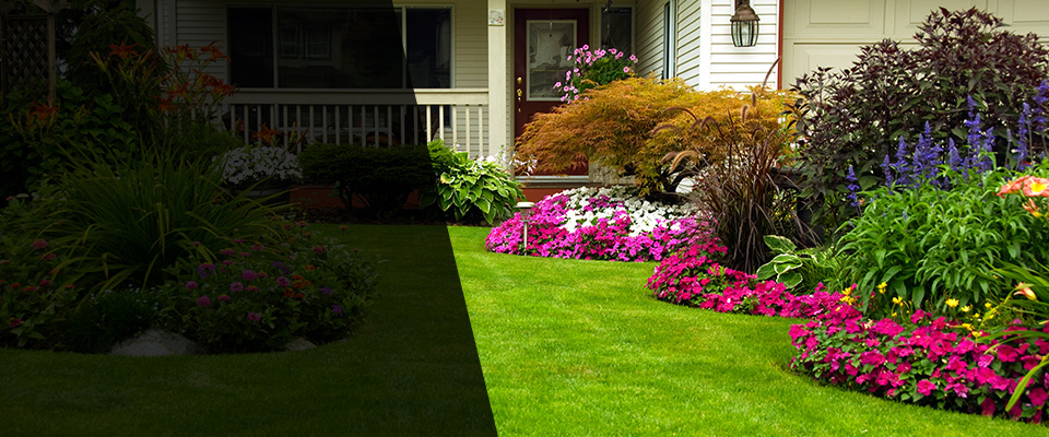 Port Jervis Landscapers