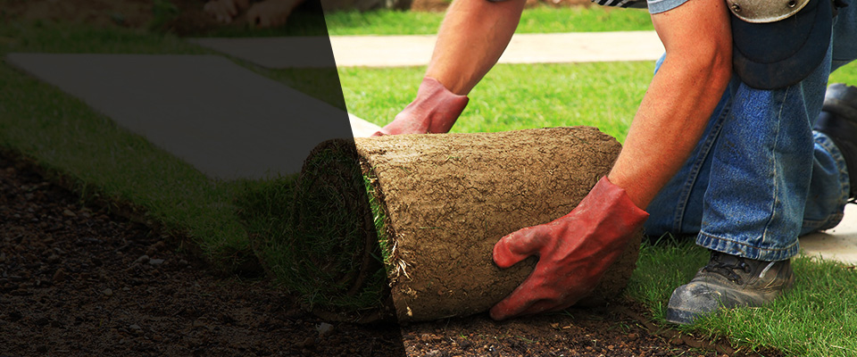 Port Jervis Landscapers